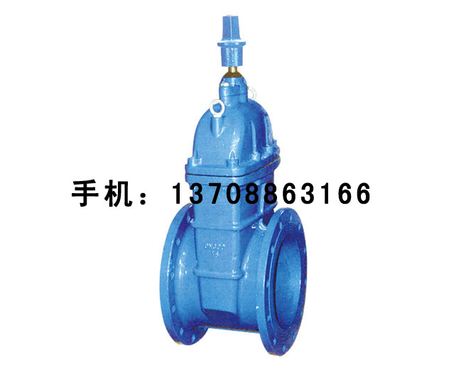 帶傳動(dòng)帽彈性座封閘閥