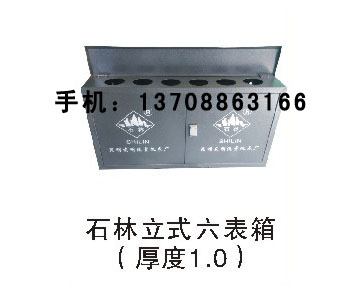 石林立式六表箱